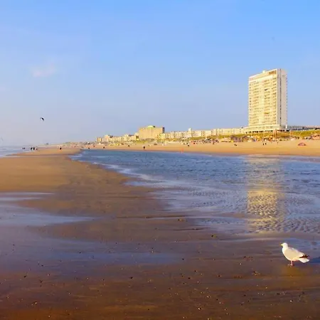 Amsterdam Beach Luxor * Zandvoort